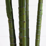 6' Tropic Artificial Areca Palm Silk Tree-Parc Decor