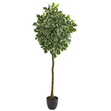 6” Variegated Aralia Artificial Tree-Parc Decor