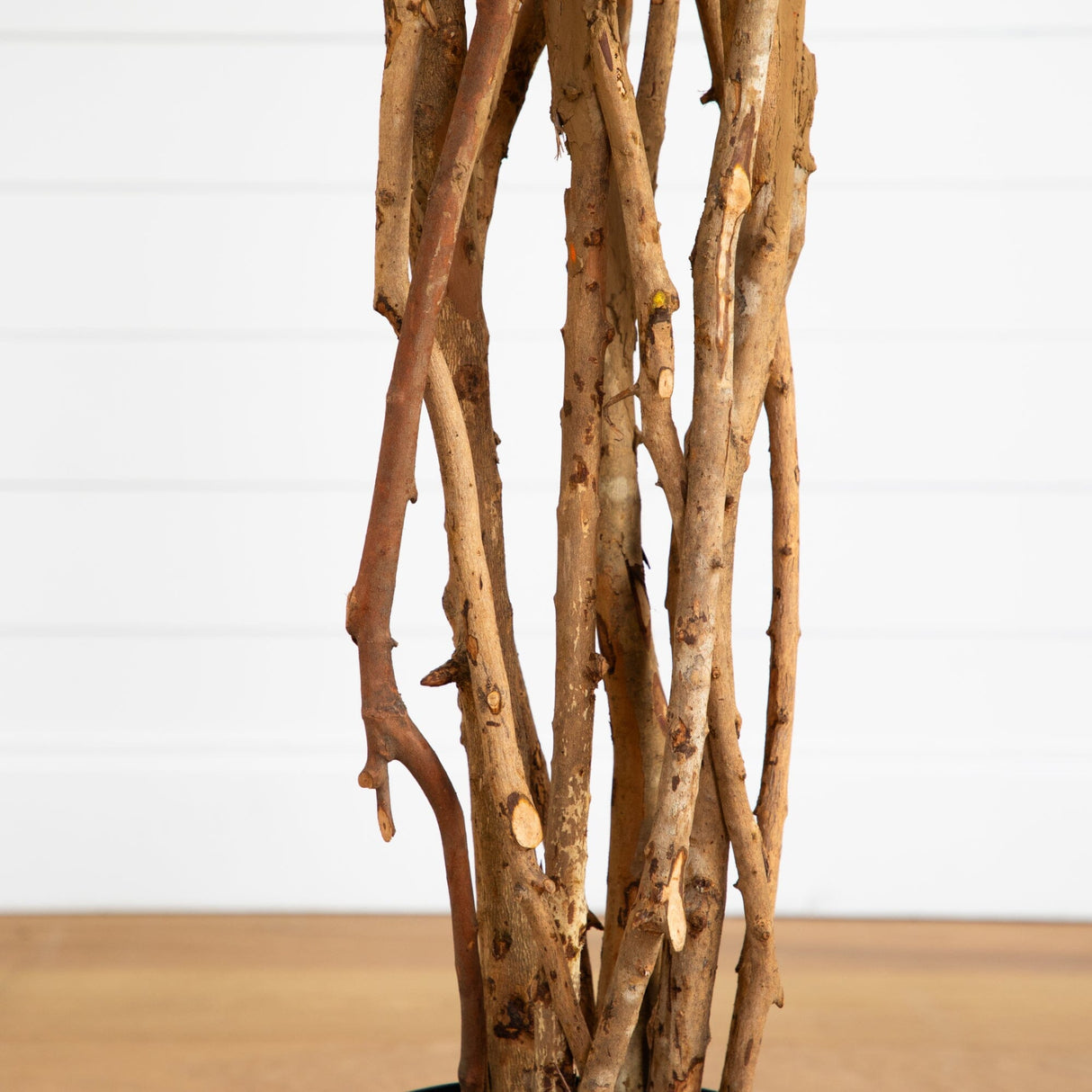 6' Weeping Ficus Silk Tree-Parc Decor