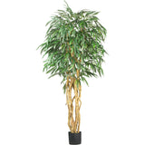6' Weeping Ficus Silk Tree-Parc Decor