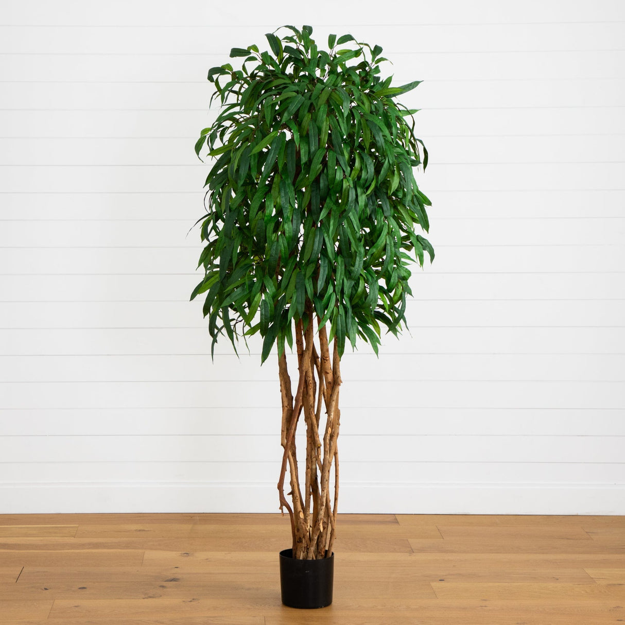 6' Weeping Ficus Silk Tree-Parc Decor