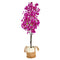 6’ Artificial Bougainvillea Tree with Handmade Jute & Cotton Basket-Plant in Planter-Parc Decor