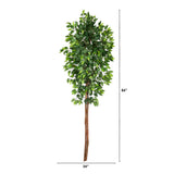 6’ Artificial Double Trunk Ficus Tree (No Pot)-Tree-Parc Decor