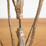 6’ Artificial Dracaena Tree-Tree-Parc Decor