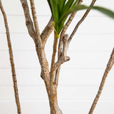 6’ Artificial Dracaena Tree-Tree-Parc Decor