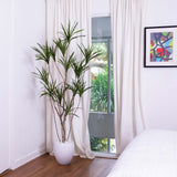 6’ Artificial Dracaena Tree-Tree-Parc Decor