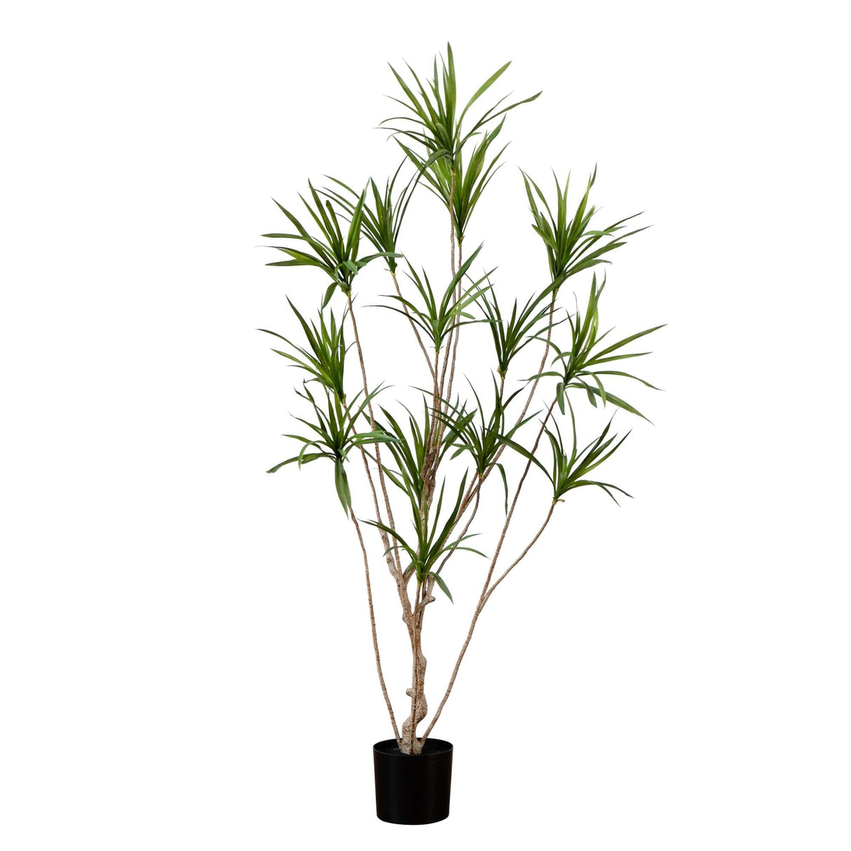 6’ Artificial Dracaena Tree-Tree-Parc Decor
