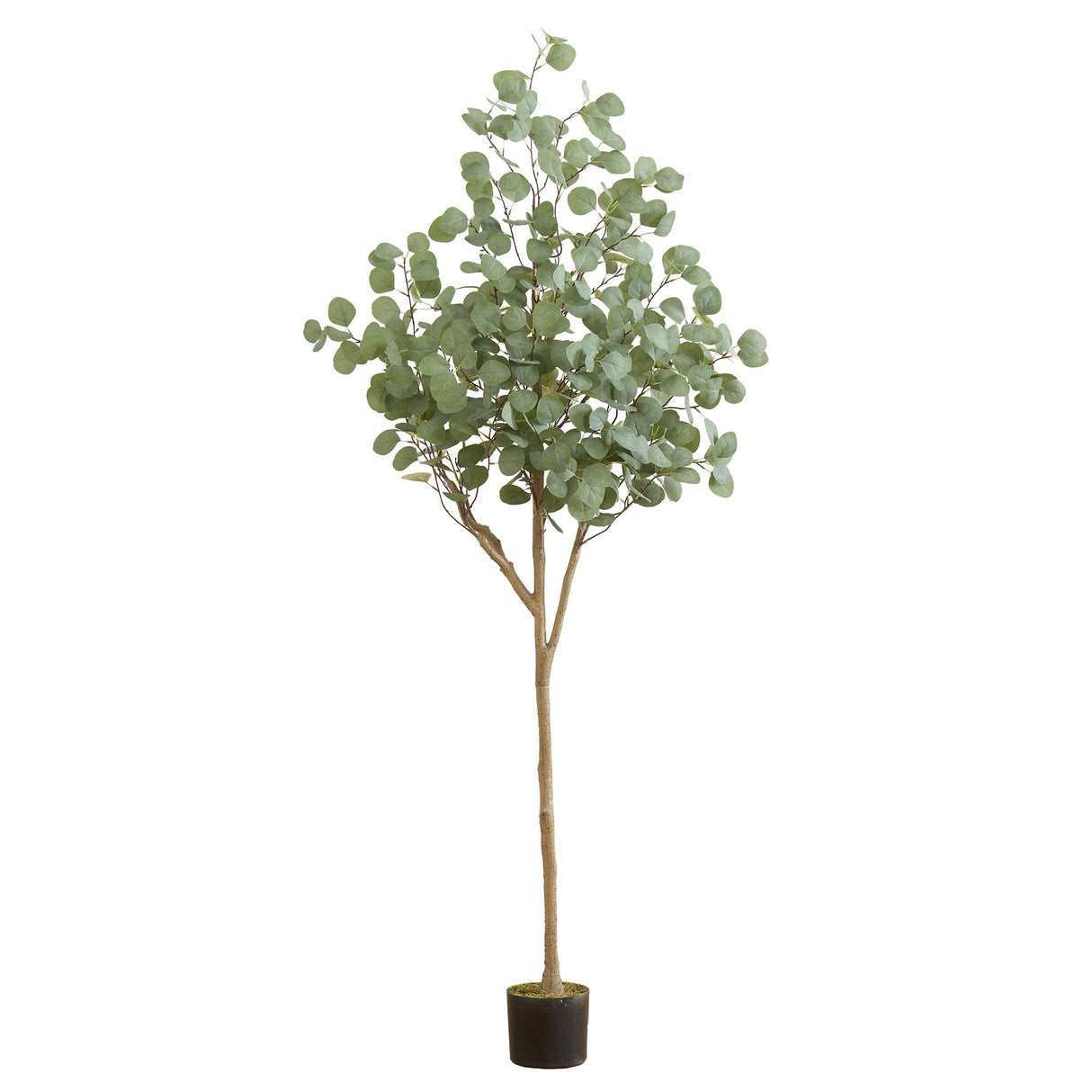 6’ Artificial Eucalyptus Tree-Tree-Parc Decor