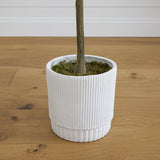 6’ Artificial Eucalyptus Tree with White Decorative Planter-Plant in Planter-Parc Decor