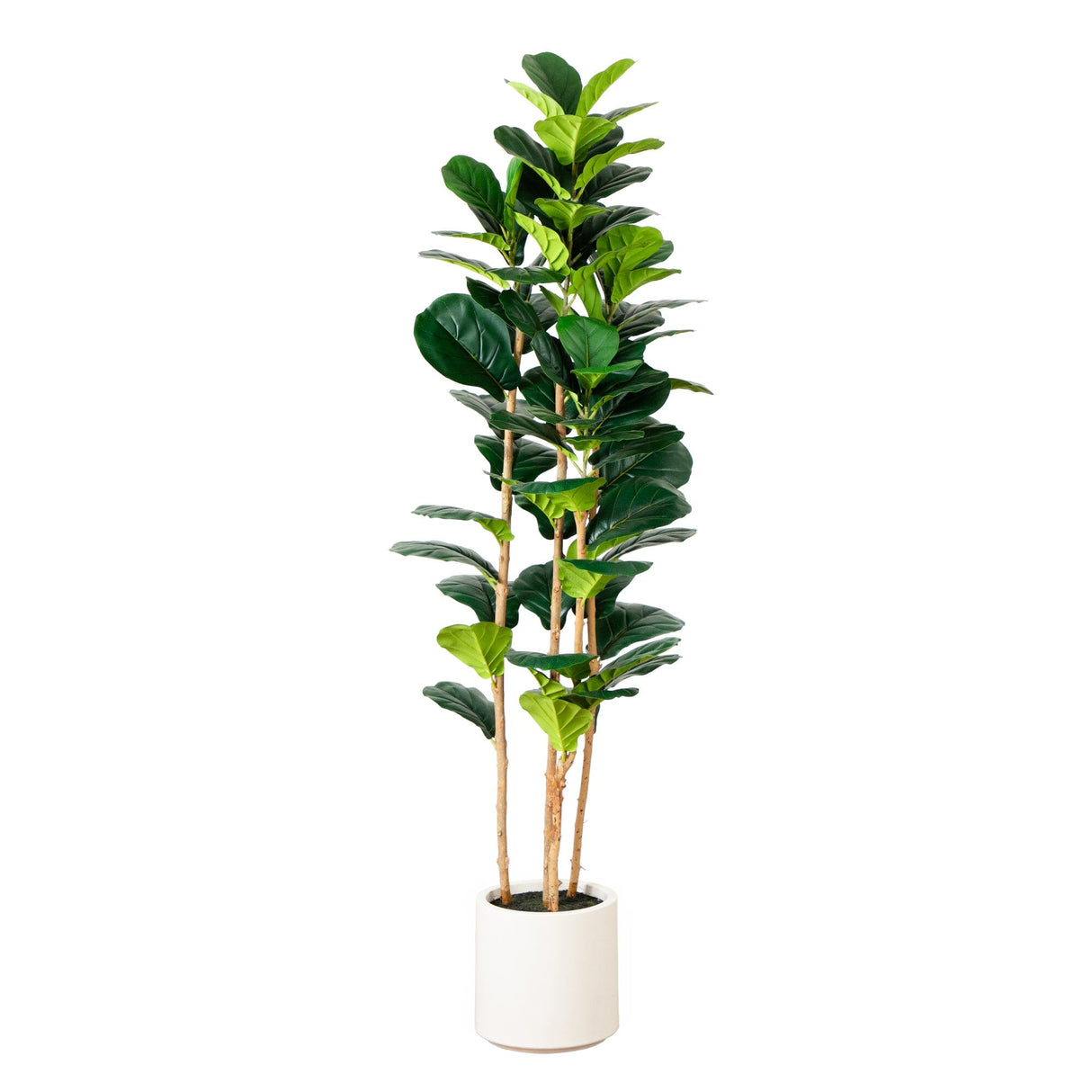 6’ Artificial Fiddle Leaf Tree in Decorative White Planter-Tree-Parc Decor