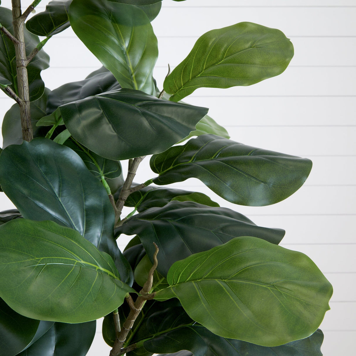 6’ Artificial Fiddle Leaf Tree-Tree-Parc Decor