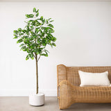 6’ Artificial Greco Citrus Tree with Real Touch Leaves-Tree-Parc Decor