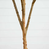 6’ Artificial Olive Tree with Natural Trunk-Tree-Parc Decor