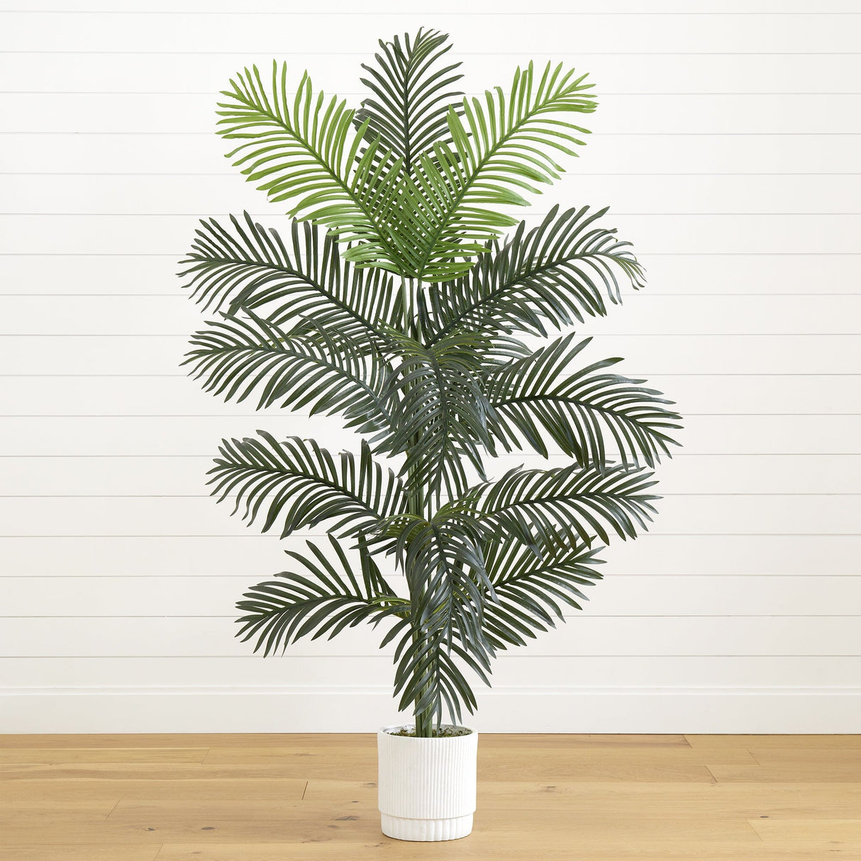 6’ Artificial Paradise Palm with White Decorative Planter-Tree-Parc Decor