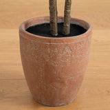 6’ Artificial Rubber Tree in Decorative Planter with Real Touch Leaves-Tree-Parc Decor