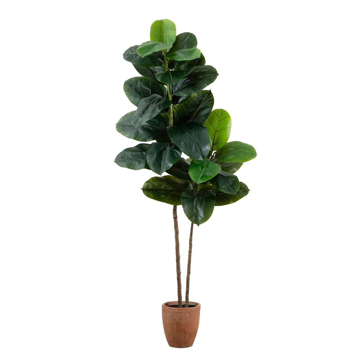 6’ Artificial Rubber Tree in Decorative Planter with Real Touch Leaves-Tree-Parc Decor