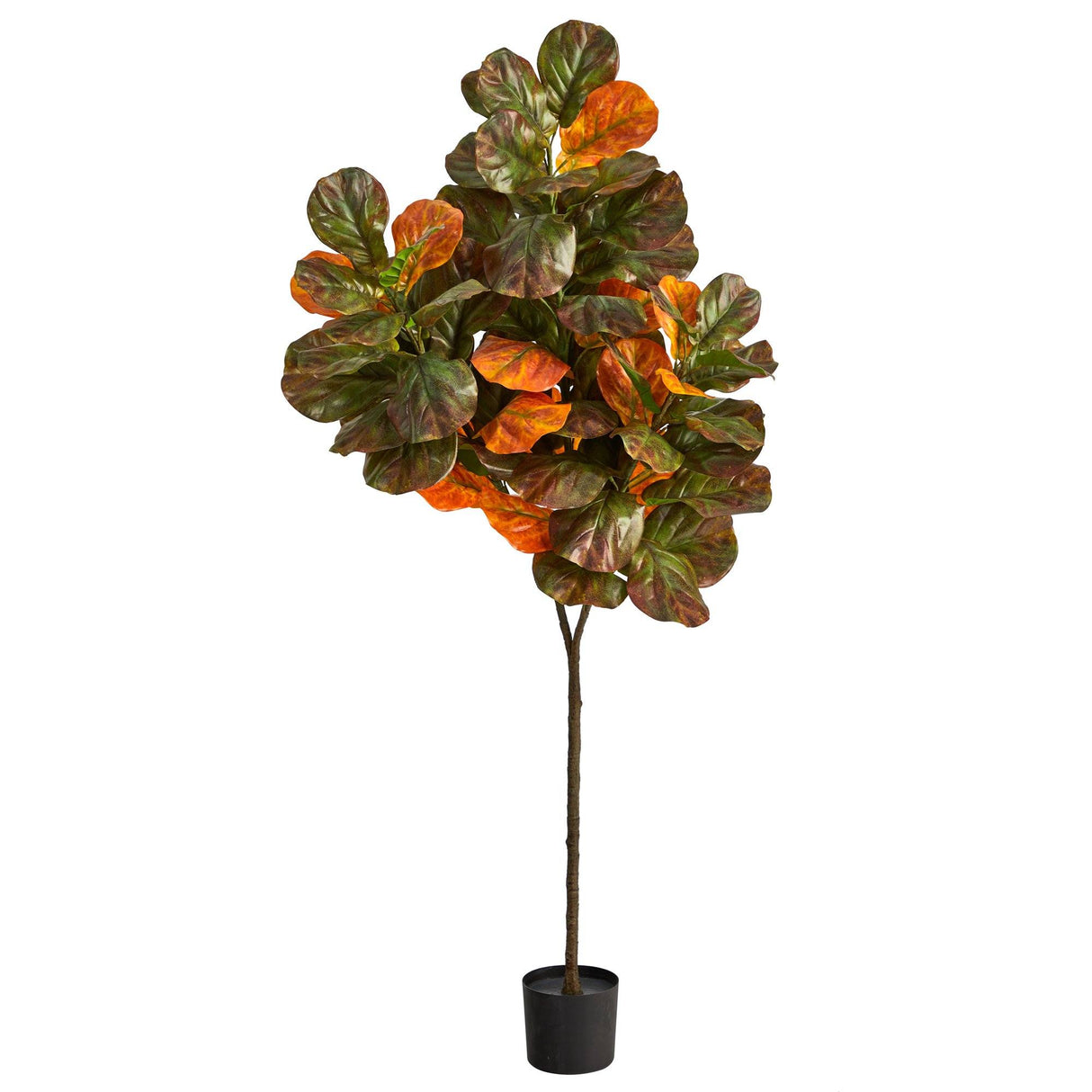 6’ Autumn Fiddle Leaf Artificial Tree-Tree-Parc Decor