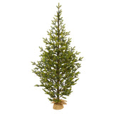 6’ Fraser Fir “Natural Look” Artificial Christmas Tree with 250 Clear LED Lights, a Burlap Base and 1243 Bendable Branches-Christmas Tree-Parc Decor