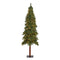 6’ Grand Alpine Artificial Christmas Tree with 300 Clear Lights and 601 Branches on Natural Trunk-Christmas Tree-Parc Decor