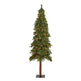 6’ Grand Alpine Artificial Christmas Tree with 300 Clear Lights and 601 Branches on Natural Trunk-Christmas Tree-Parc Decor