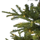 6’ Layered Washington Spruce Artificial Christmas Tree with 350 Clear Lights and 705 Branches-Christmas Tree-Parc Decor