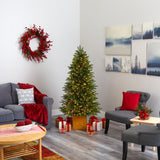 6' Manchester Fir Artificial Christmas Tree in Decorative Planter with 350 Clear Warm (Multifunction) LED Lights and 504 Bendable Branches-Christmas Tree-Parc Decor