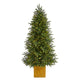 6' Manchester Fir Artificial Christmas Tree in Decorative Planter with 350 Clear Warm (Multifunction) LED Lights and 504 Bendable Branches-Christmas Tree-Parc Decor
