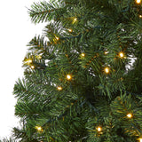 6' Northern Tip Pine Artificial Christmas Tree with 250 Clear LED Lights-Christmas Tree-Parc Decor