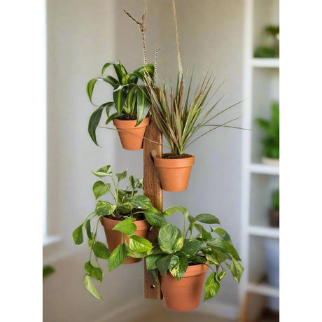 6 Pot Hanging Plant Holder - 3 piece set-plant holder-Parc Decor