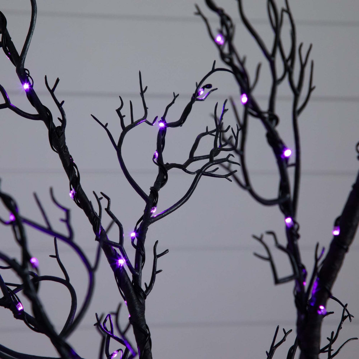 6’ Pre-Lit Halloween Minimalist Twig Artificial Fall Tree with 320 Orange & Purple LED Lights-Tree-Parc Decor