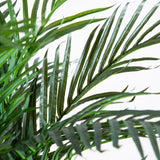 6' Robellini Palm Artificial Tree-Tree-Parc Decor