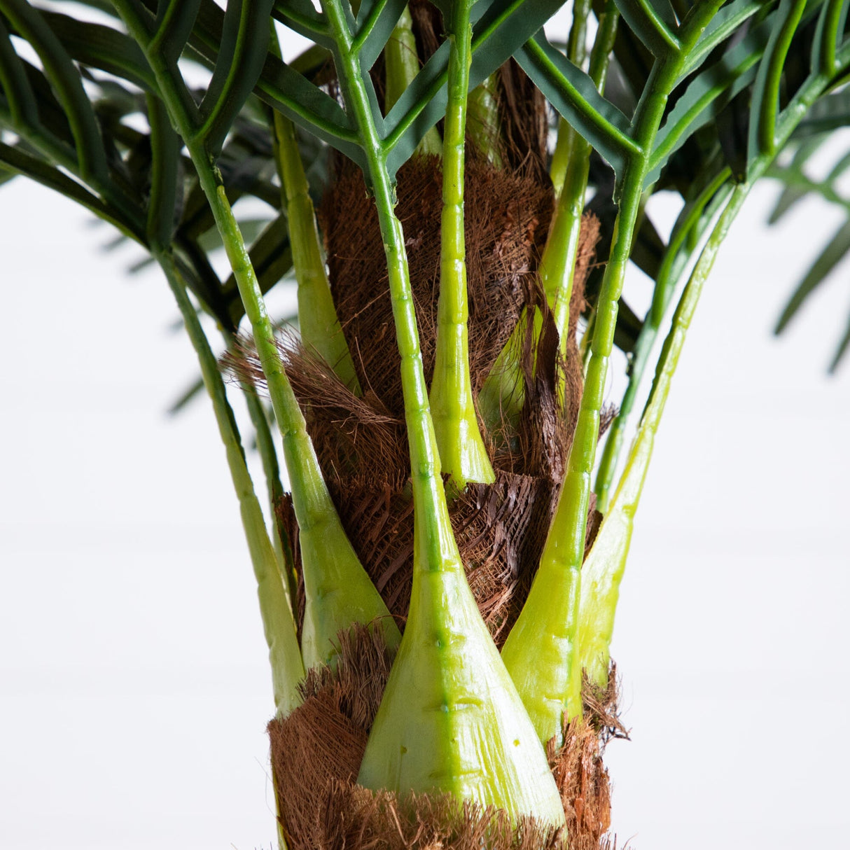 6' Robellini Palm Artificial Tree-Tree-Parc Decor