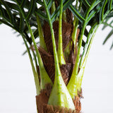 6' Robellini Palm Artificial Tree-Tree-Parc Decor