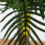 6' Robellini Palm Artificial Tree-Tree-Parc Decor