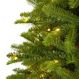 6’ Sierra Spruce “Natural Look” Artificial Christmas Tree with 300 Clear LED Lights and 1357 Bendable Branches-Christmas Tree-Parc Decor
