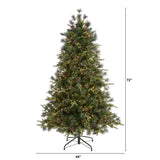 6’ Snowed Tipped Clermont Mixed Pine Artificial Christmas Tree with 250 Clear LED Lights, Pine Cones and 1242 Bendable Branches-Christmas Tree-Parc Decor