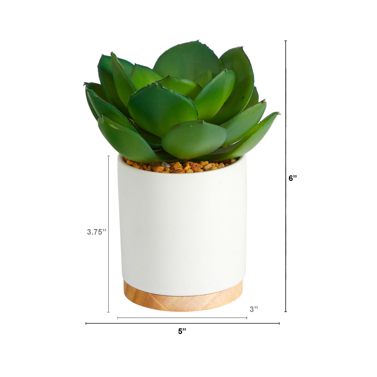 6” Succulent Artificial Plant in White Ceramic Planter-Plant-Parc Decor