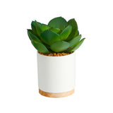 6” Succulent Artificial Plant in White Ceramic Planter-Plant-Parc Decor