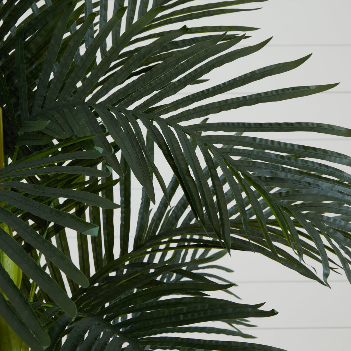 6’ Triple Stalk Golden Cane Artificial Palm Tree-Tree-Parc Decor