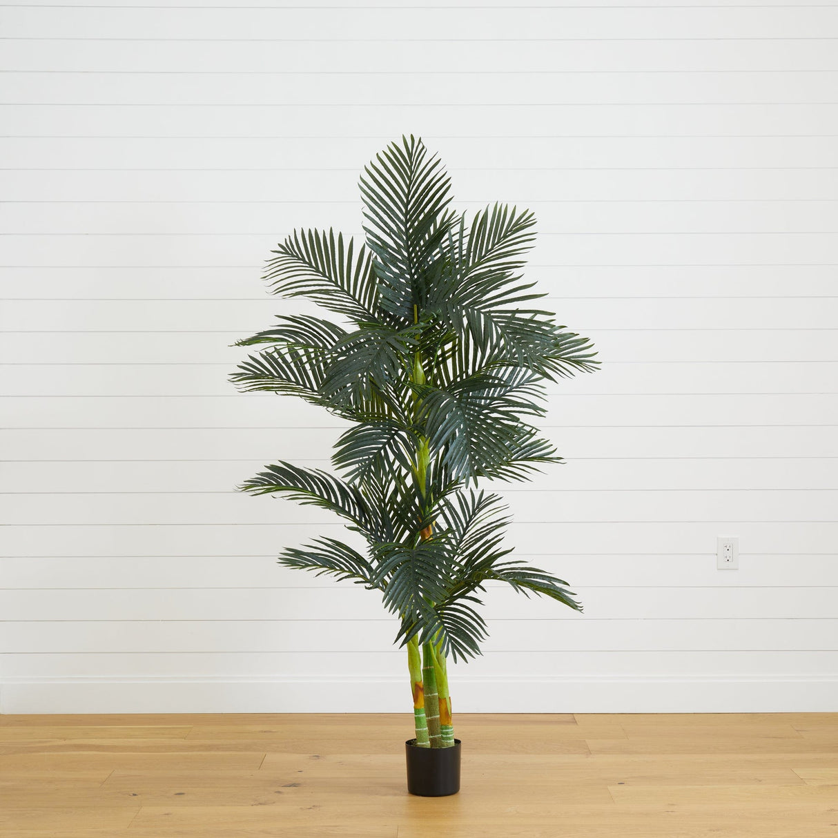 6’ Triple Stalk Golden Cane Artificial Palm Tree-Tree-Parc Decor