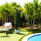 6’ UV Resistant Artificial Boxwood Topiary Cone Tree (Indoor/Outdoor)-Tree-Parc Decor