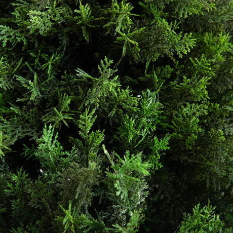 6’ UV Resistant Artificial Cedar Tree in Decorative White Planter (Indoor/Outdoor)-Tree-Parc Decor