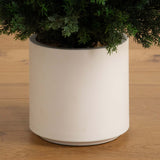 6’ UV Resistant Artificial Cedar Tree in Decorative White Planter (Indoor/Outdoor)-Tree-Parc Decor