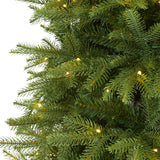 6’ Vancouver Fir “Natural Look” Artificial Christmas Tree with 350 Clear LED Lights and 1870 Bendable Branches-Christmas Tree-Parc Decor