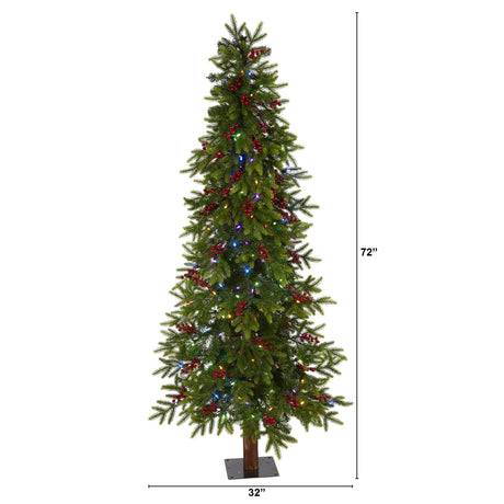 6' Victoria Fir Artificial Christmas Tree with 250 Multi-Color (Multifunction) LED Lights, Berries and 415 Bendable Branches-Christmas Tree-Parc Decor