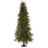 6' Victoria Fir Artificial Christmas Tree with 250 Multi-Color (Multifunction) LED Lights, Berries and 415 Bendable Branches-Christmas Tree-Parc Decor