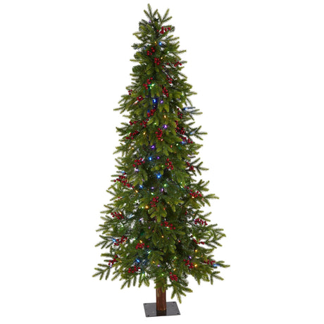 6' Victoria Fir Artificial Christmas Tree with 250 Multi-Color (Multifunction) LED Lights, Berries and 415 Bendable Branches-Christmas Tree-Parc Decor