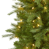 6' Vienna Fir Artificial Christmas Tree with 400 Warm White Lights and 843 Bendable Branches-Christmas Tree-Parc Decor