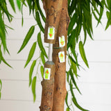 6’ Willow Artificial Tree (Real Touch)-Tree-Parc Decor