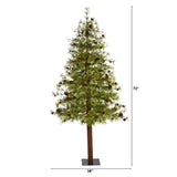 6' Wyoming Alpine Artificial Christmas Tree with 150 Clear (multifunction) LED Lights and Pine Cones on Natural Trunk-Christmas Tree-Parc Decor